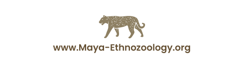 maya-ethnozoology a to z index