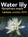 29 water lily lecture Oct 23 2015 animal lecture Oct 30