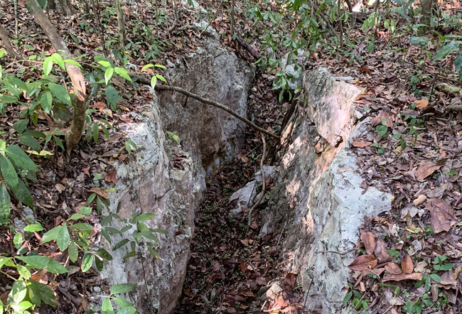 Massive Limestone Geological Fault Line Discovered east of Nakum, Peten, Guatemala
