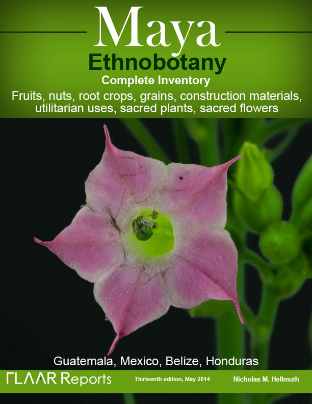 Mayan-ethnobotany-Guatemala-Honduras-El-Salvador-Mexico-Belize-utilitarian-and-sacred-plants-flowers-annual-report-Mayo-2014