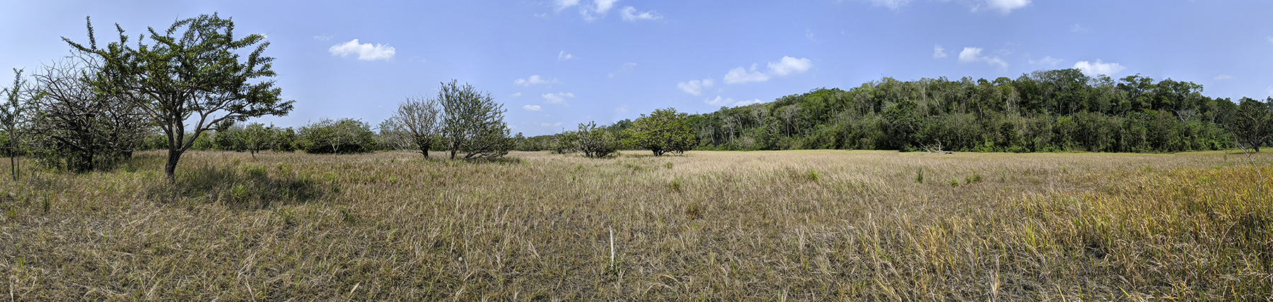 akum-savanna-east-side-panorama